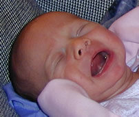 Chloe Frances Wendell